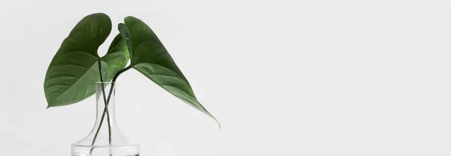 Explore Our Latest Case Studies - 天天盈球yunwei
